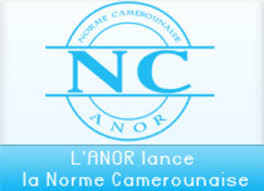 Logo-ANOR-Caneroun